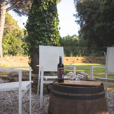 Podere San Filippo B&B-Apartment-Pet Friendly-Rent Bike And Bike Friendly Bibbona Luaran gambar